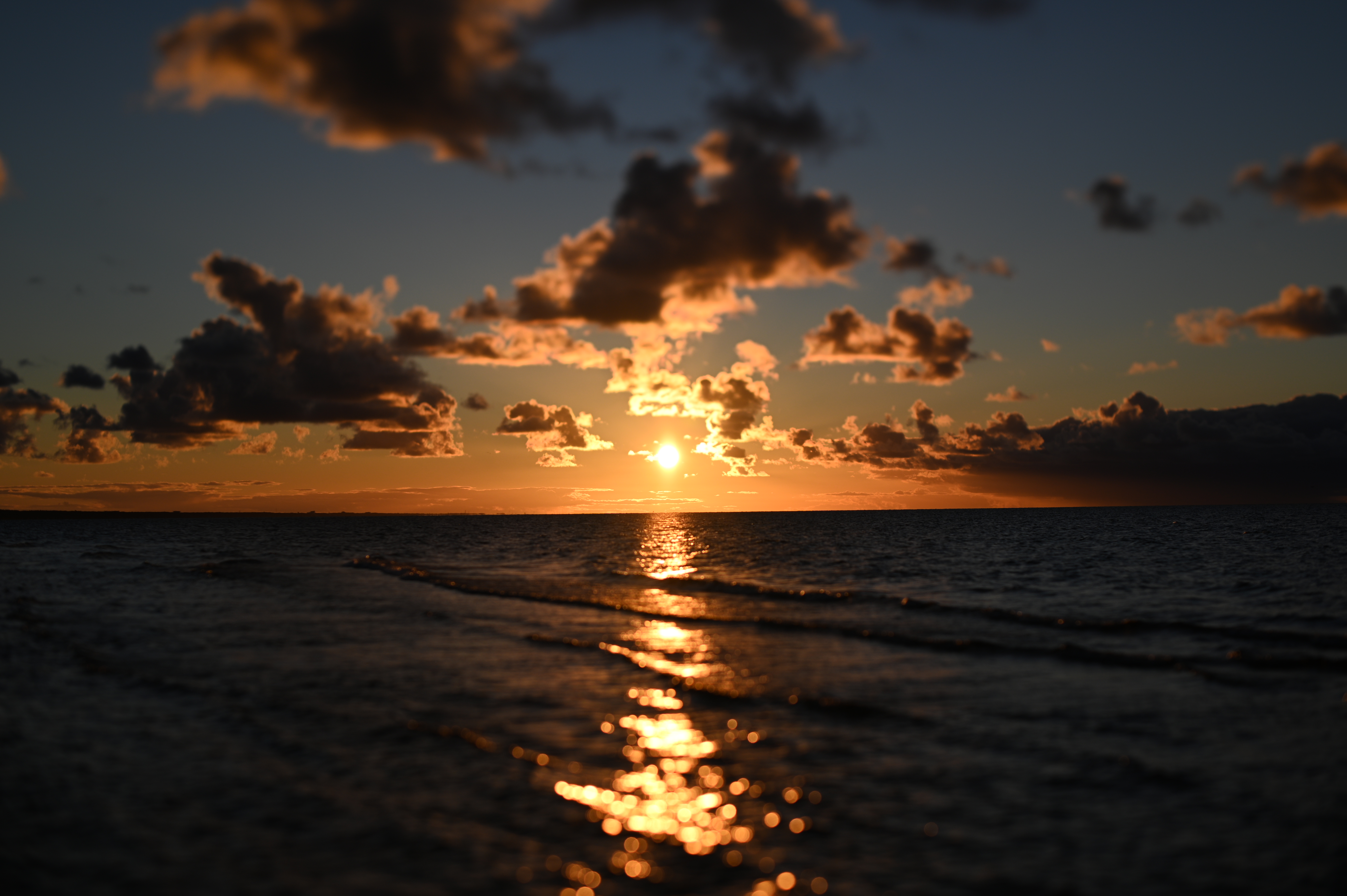 2025/10/18 - walk/DSC_0368.JPG